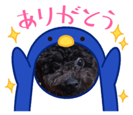 557431389