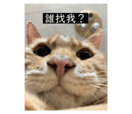 557432630