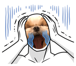 557432708
