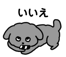557433296