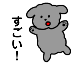 557433303