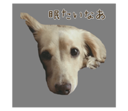 557436406
