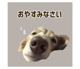 557436408
