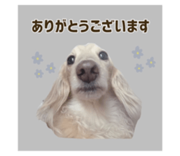 557436410