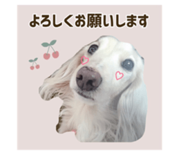 557436411