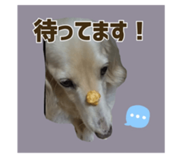 557436413
