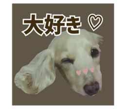 557436414