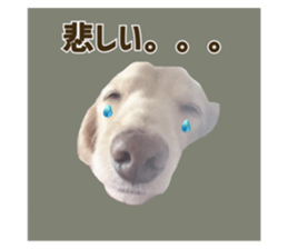 557436416