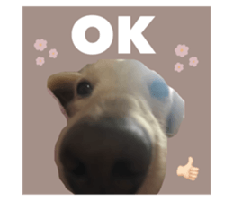 557436419