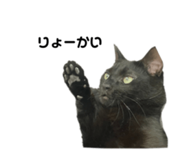 557443624