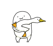 557482072