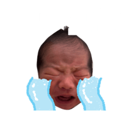 557493555