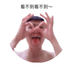 557493927