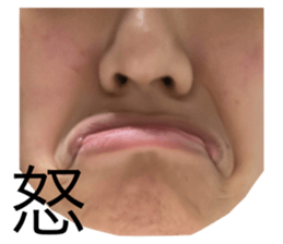 557498880