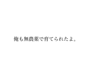 557500802