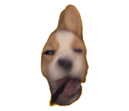 557503194