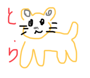 557508056