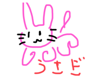 557508057