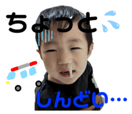 557535601