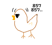 557536371
