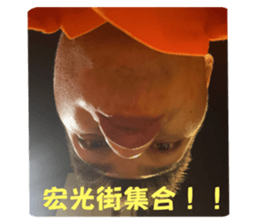 557538755