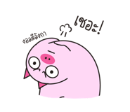 557580108