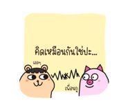557580114