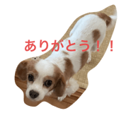 557591369