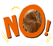 557658997