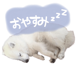 557659134
