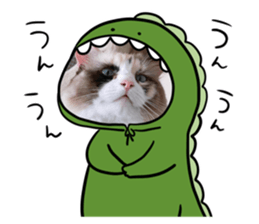 557676529