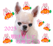 557676655