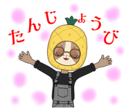 557676658