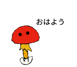 55768240