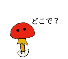 55768243