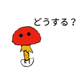 55768244