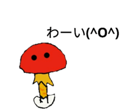 55768246
