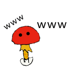 55768252