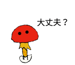 55768253