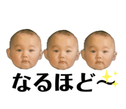 557689808