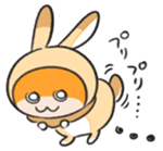 557691029