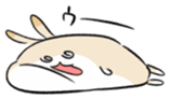 557691034