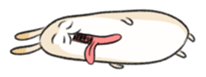 557691051