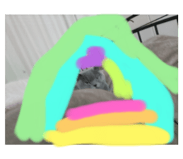 557694332