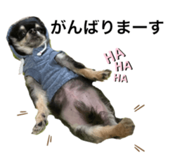 557694953