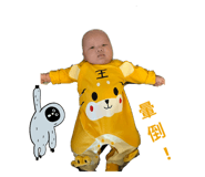 557702734