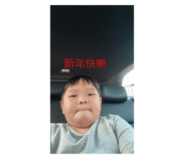 557717566