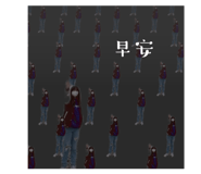 557727906