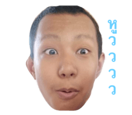 55773558
