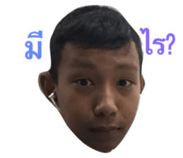 55773560